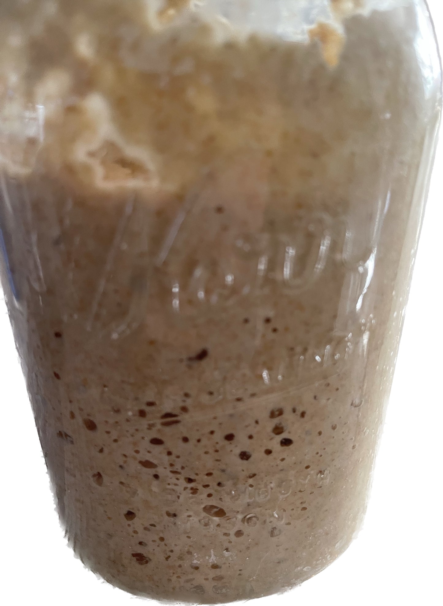 Sourdough Starter -Organic ingredients